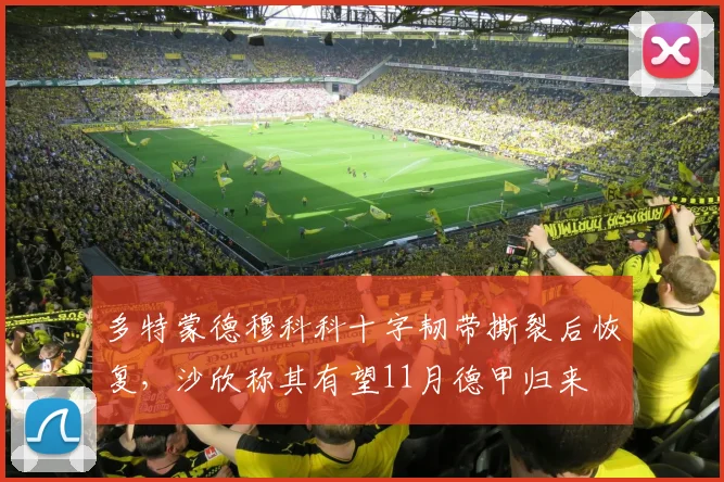 多特蒙德穆科科十字韧带撕裂后恢复，沙欣称其有望11月德甲归来