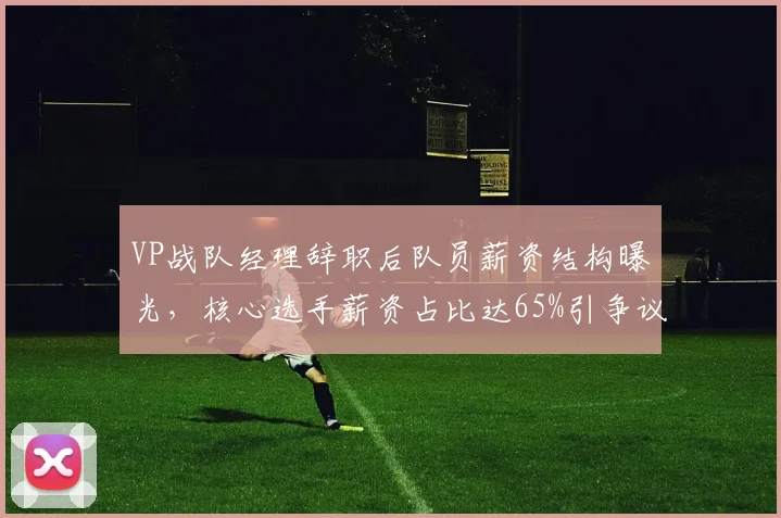 VP战队经理辞职后队员薪资结构曝光，核心选手薪资占比达65%引争议